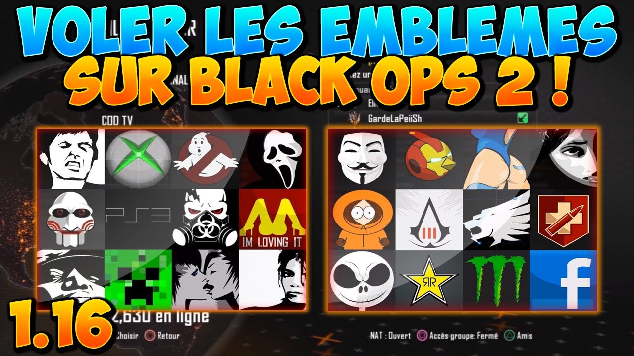 GLITCH | Comment Voler les Emblèmes sur Black Ops 2 ! AFTER PATCH 1.19