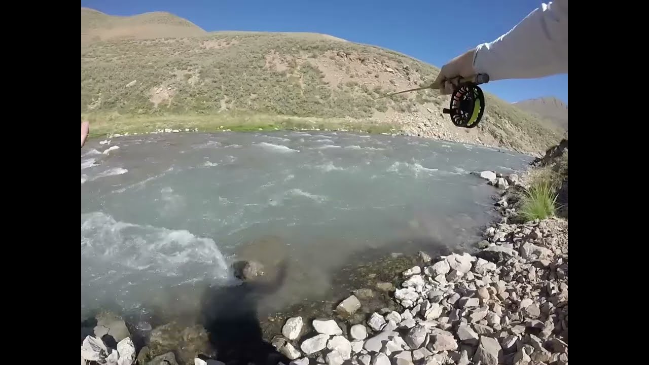 Pesca en el R&iacute;o Tordillo - Valle de La Matancilla