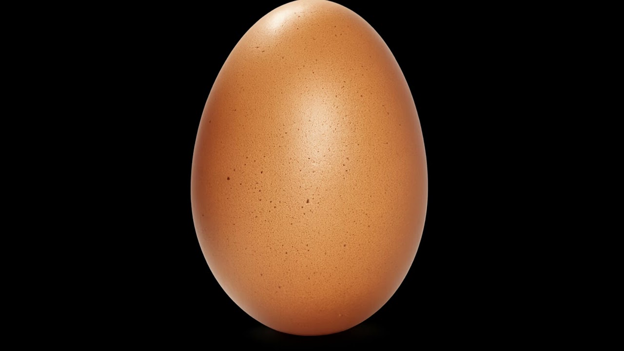 Un oeuf