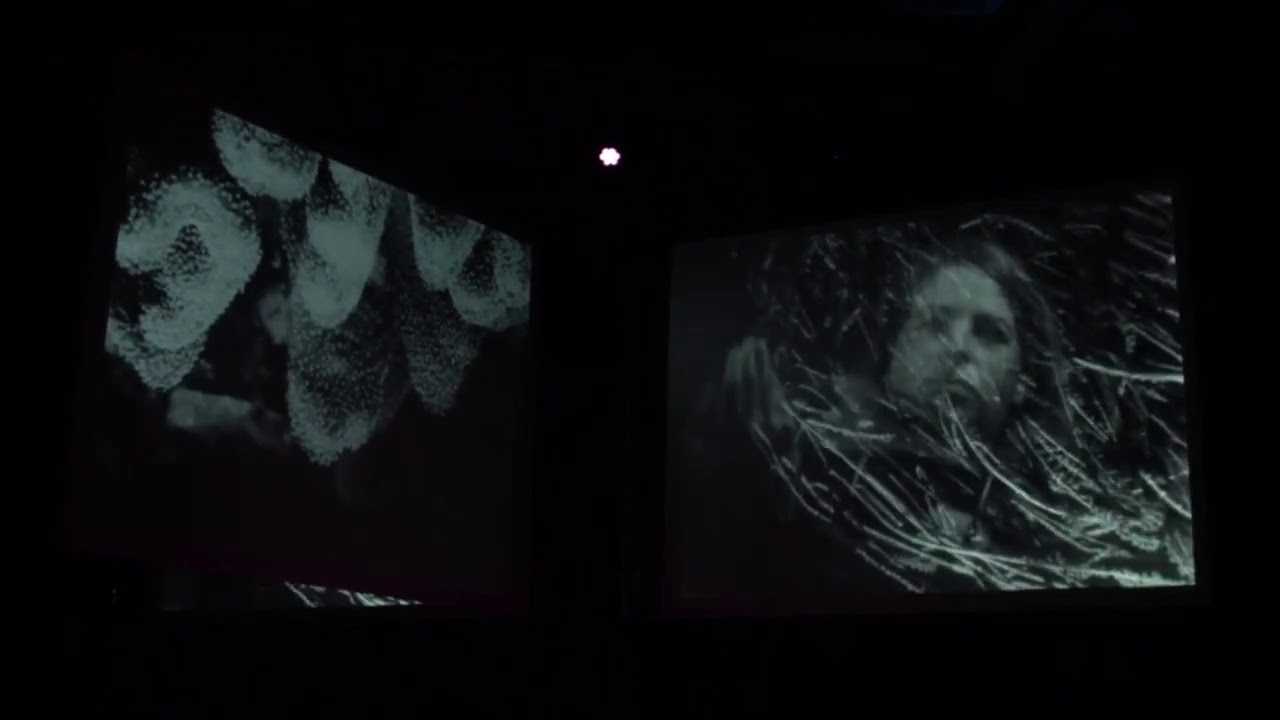TRANSDUCTION - Live at Berghain Berlin | ensemble mosaik, Thomas Fiedler and Distruktur