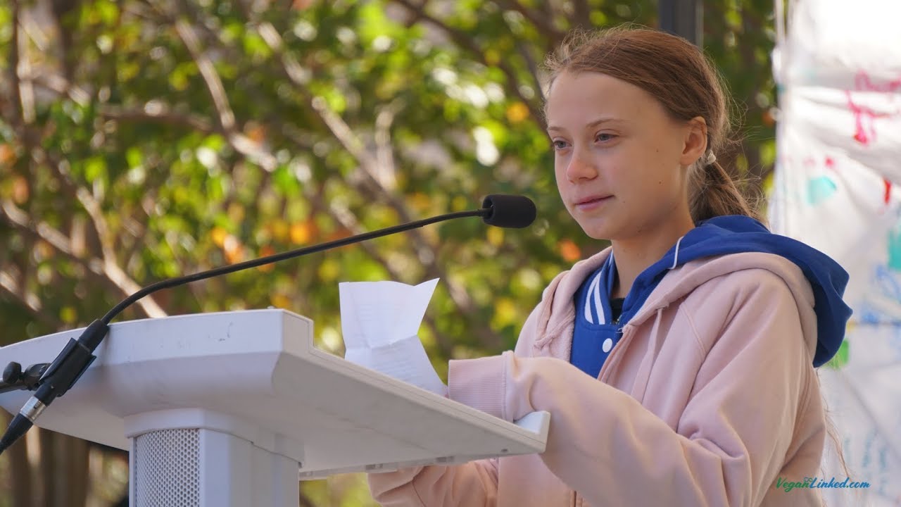 Greta Thunberg Charlotte North Carolina 11 8 2019