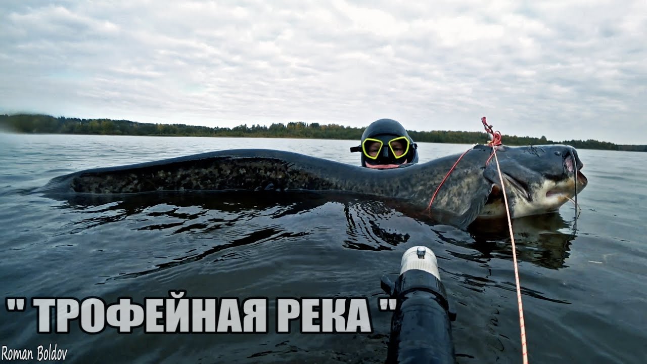 подводная охота на ТРОФЕЙНОГО СОМА. Два дня охоты на Сома и Судака.