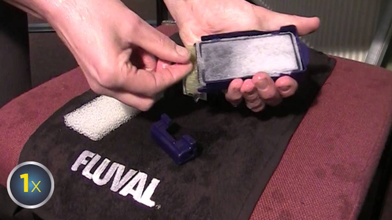Fluval U-Series Filter Maintenance