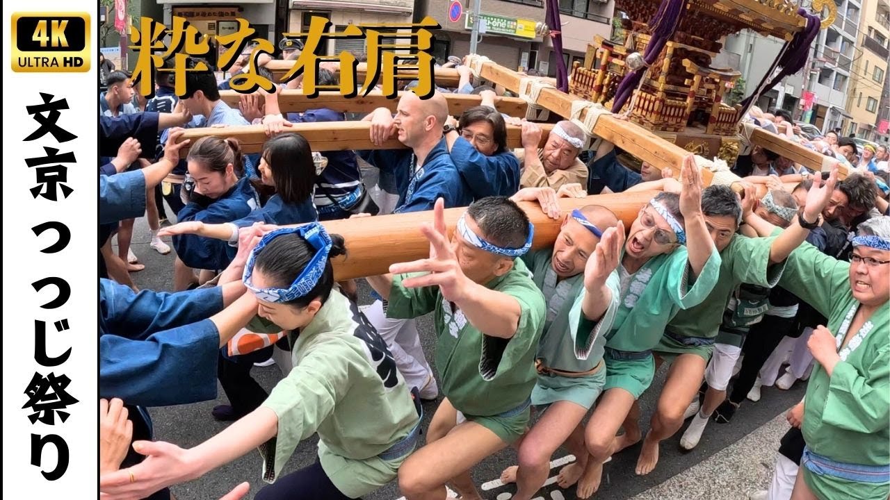 【根津神社つつじ祭り】粋な右肩！見ていて惚れ惚れするカッコよさ　～根津祭友會神輿2025～