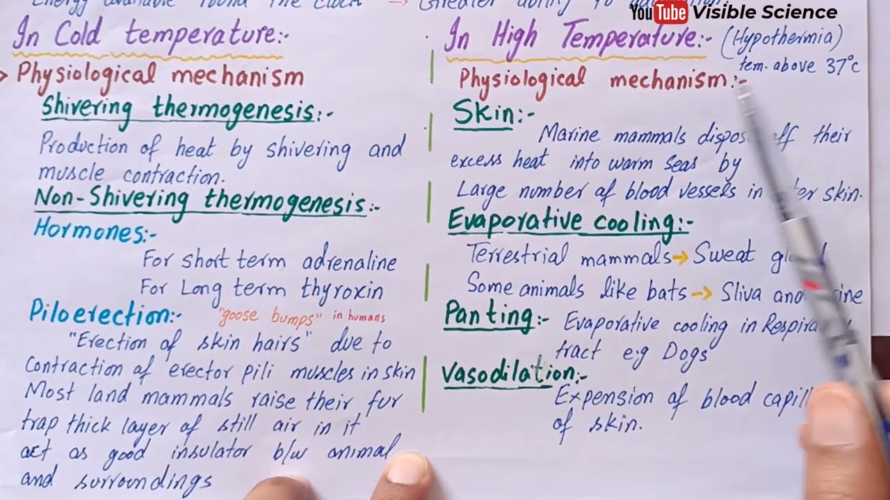 Thermoregulation in mammals | Thermoregulatory strategies in man | Class 12
