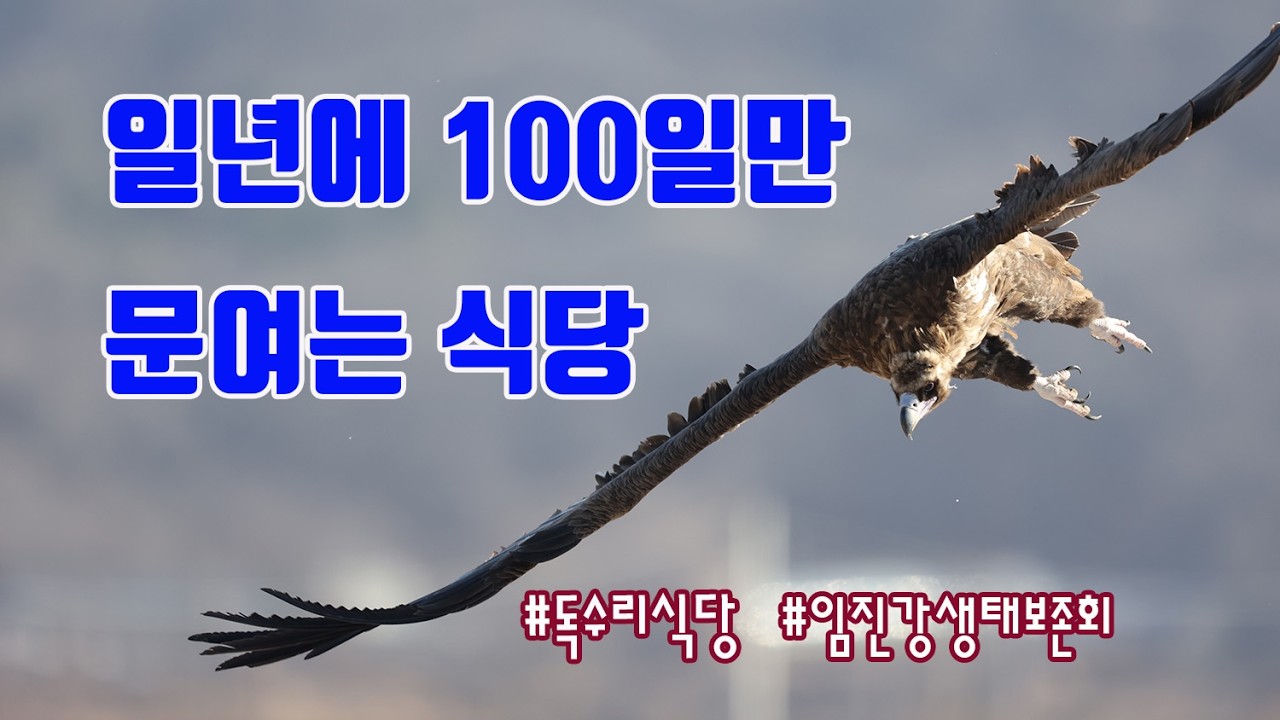 일 년에 100일만 문 여는 식당