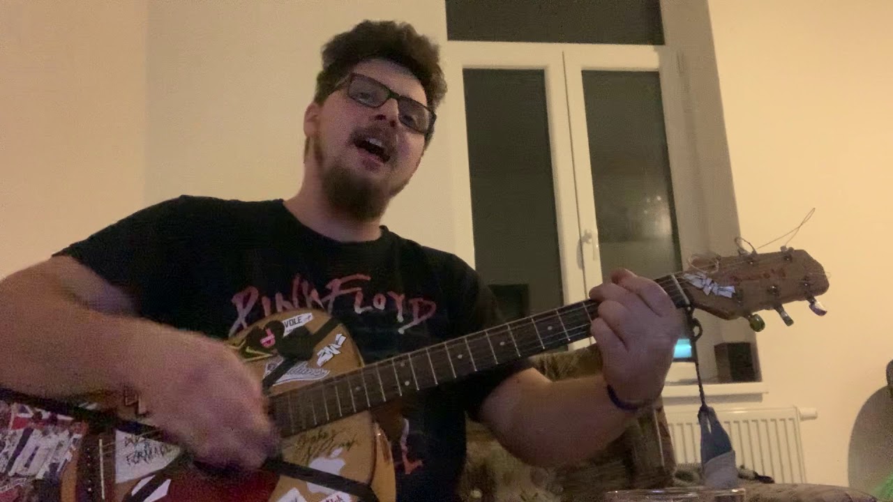 Aleš Brichta - Slečna závist/COVER