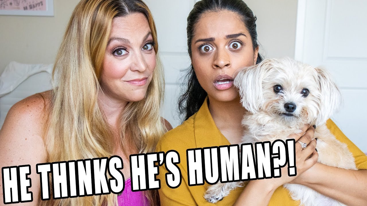 Pet Psychic Reads My Dog's Mind