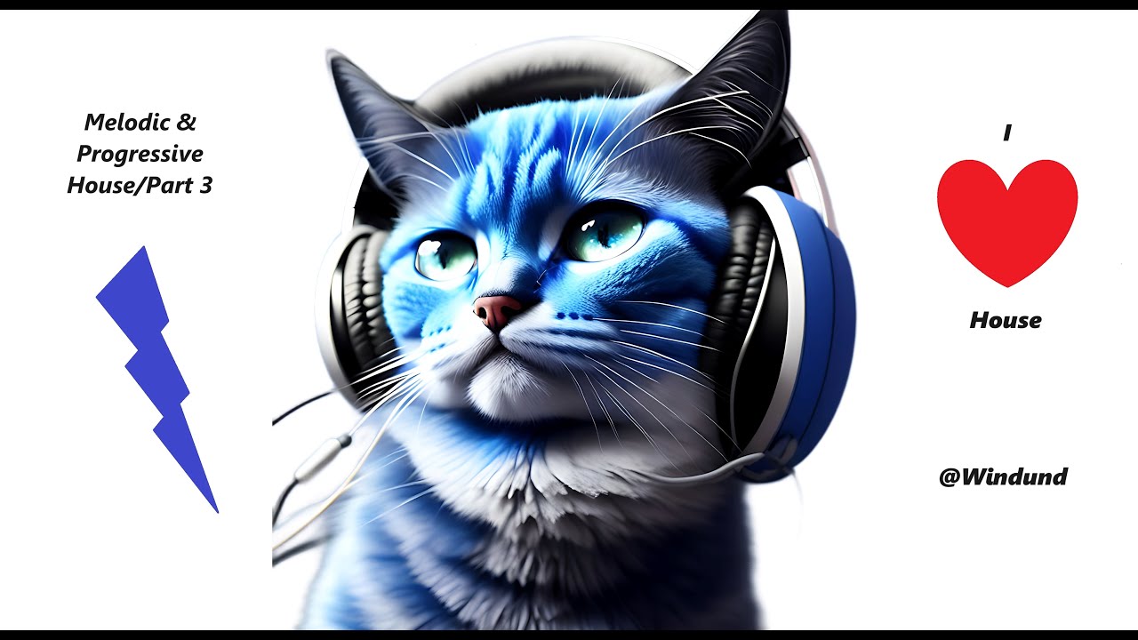 Melodic & Progressive House Journey/Part 3 (ft. Boris Brejcha, Moonwalk, Miss Monique) 🔊