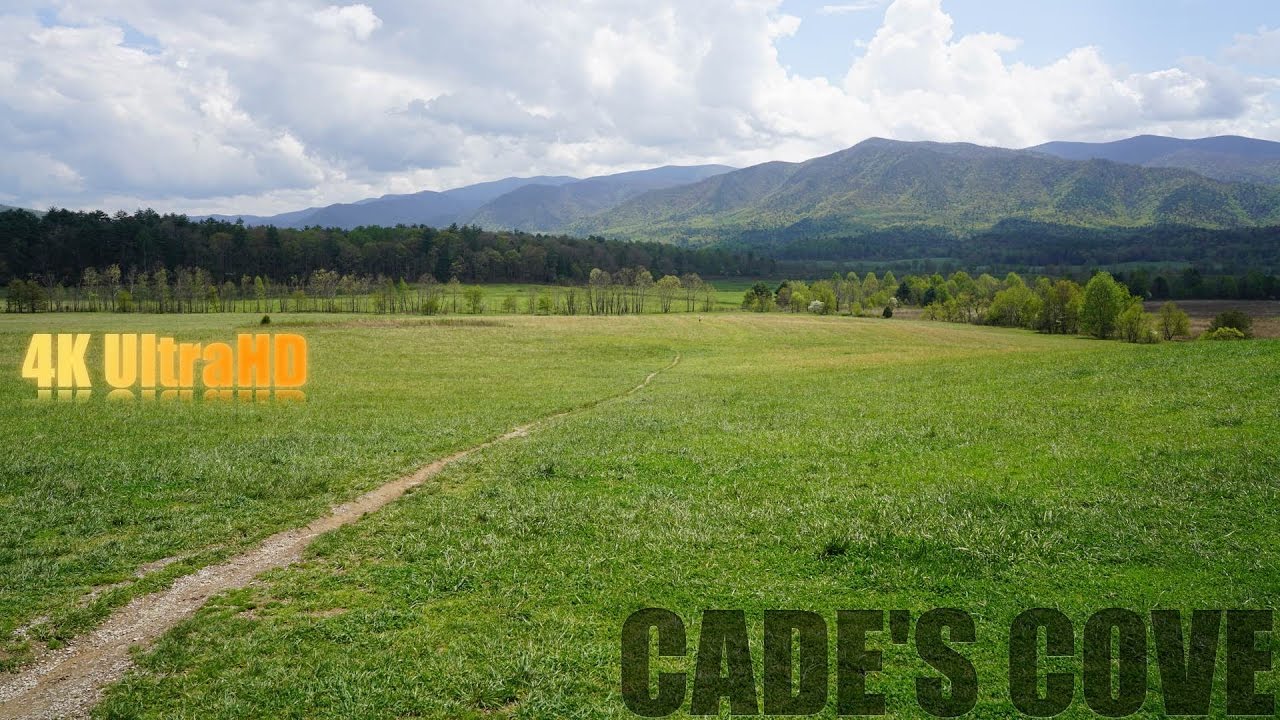 Cade's Cove Scenic View
