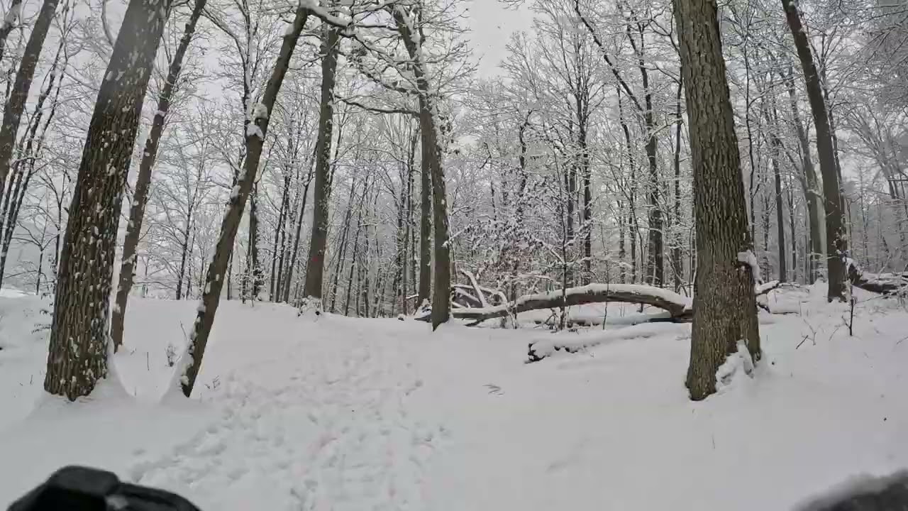 Snow Storm Adventure: Chimney Rock Fatbiking - Newman's Lane Towards Chimney Rock on Red Trail