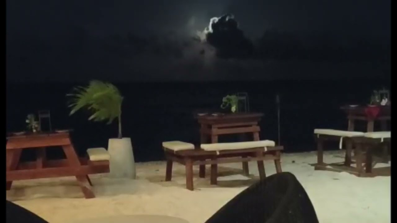 ✨ Magical Moonrise by the Beach 🌊 | Peaceful Night Vibes 🌕 | #shorts #snippets #shortssnippets 