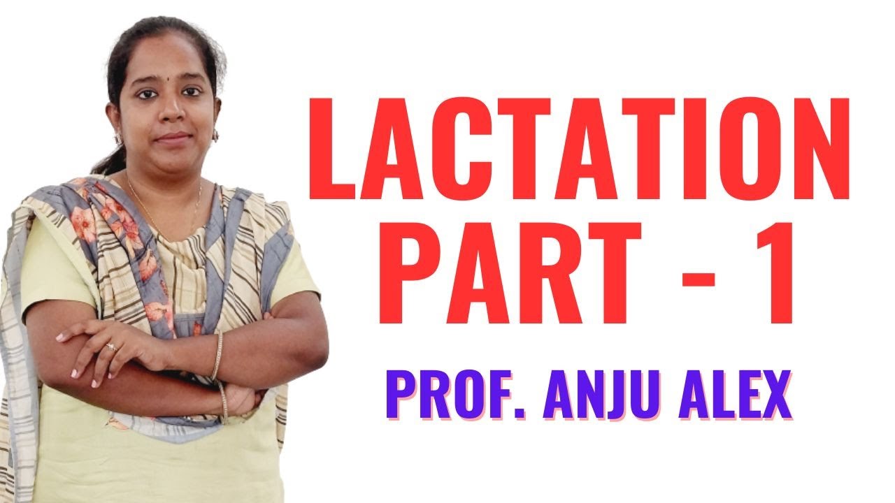 Лактация Часть 1 II Бакалавр сестринского дела 4-й курс II Гинекология II Анжу Мадам II