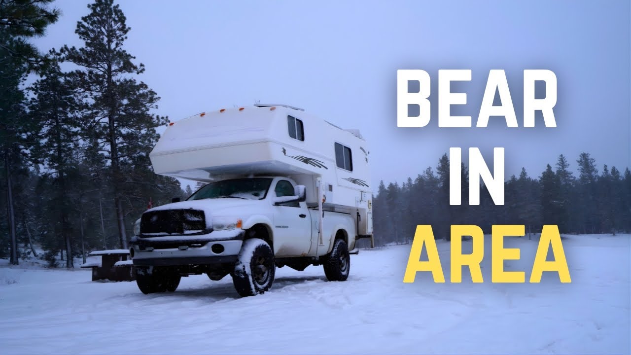 NOT What You Want To See Camping Next To A Frozen Lake In British Columbia