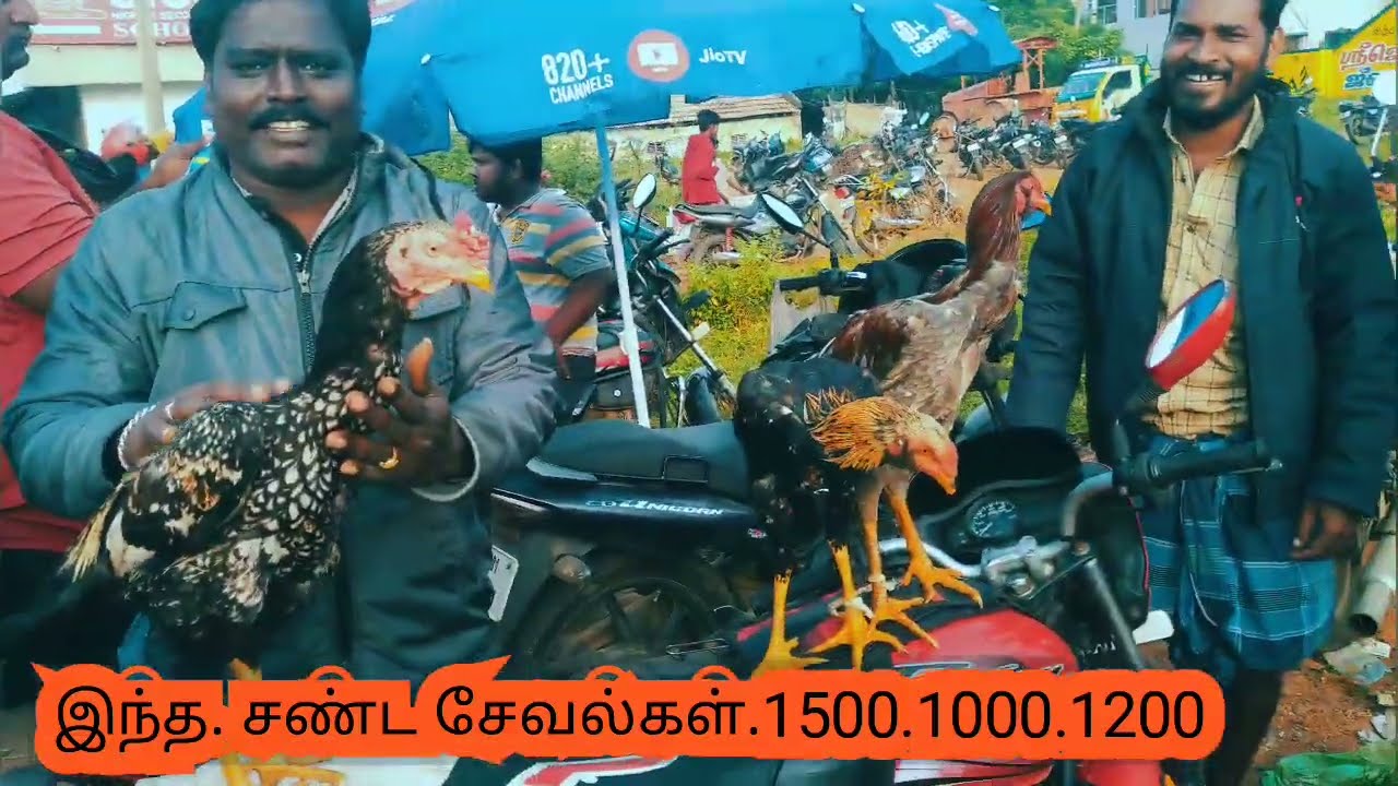 வடலூர் கோழி சந்தை விலை நிலவரம் /vadalur.henmarket# Tamil village cooking camp. 🐓சனிக்கிழமை...