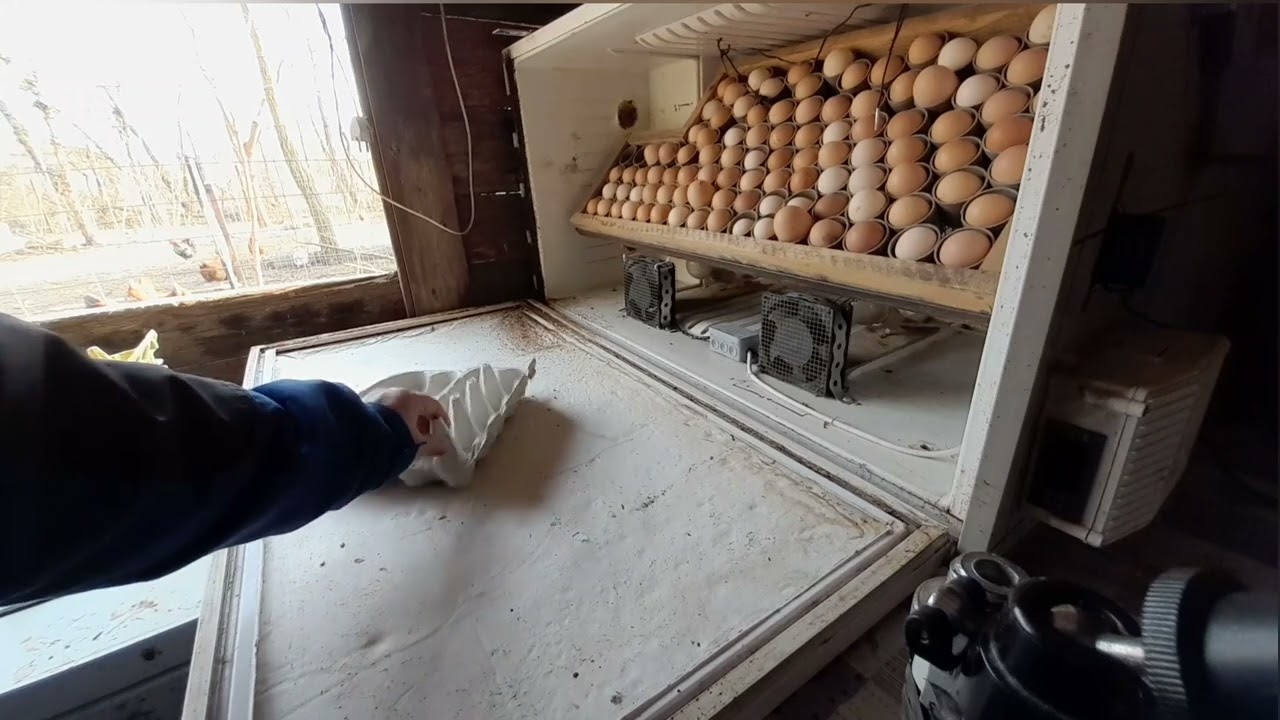 Keltetés indul a házikészítésű géppel