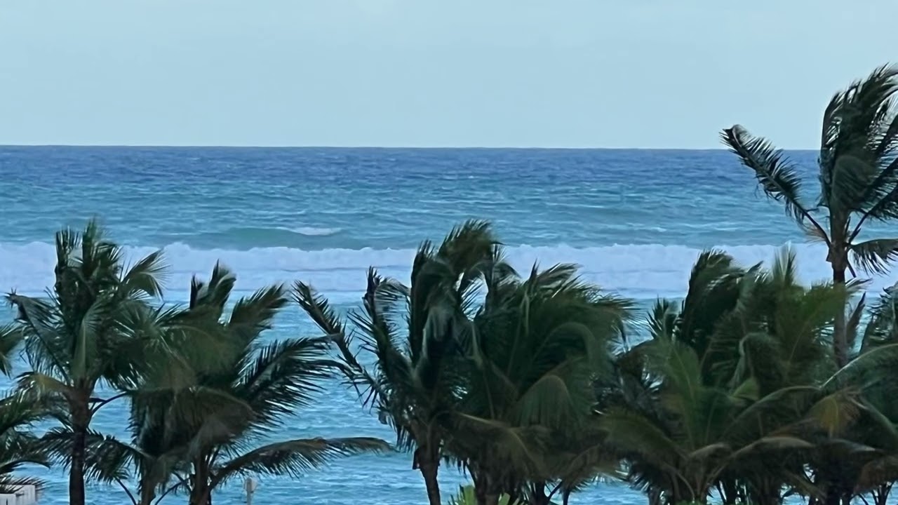“Peace, love and Palm trees”