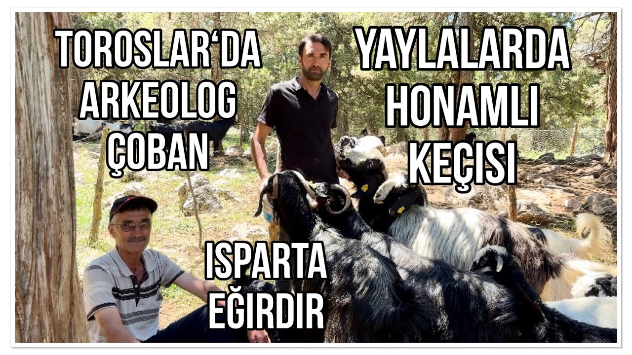 ARKEOLOG ÇOBAN