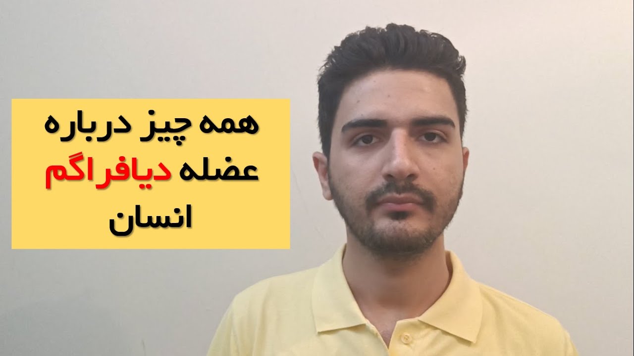 آناتومی و فیزیولوژی عضله دیافراگم در انسان