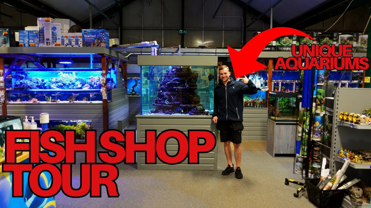 FISH STORE TOUR | Maidenhead aquatics Weybridge