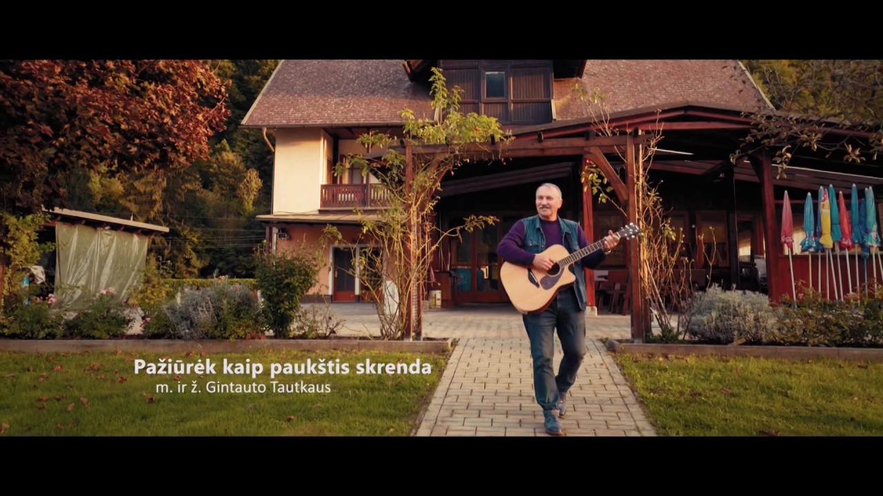 Pažiūrėk kaip paukštis skrenda - Gintautas Tautkus