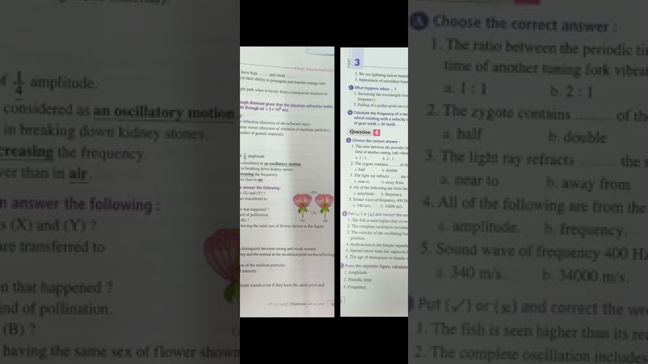 prep2 second term model exam 2