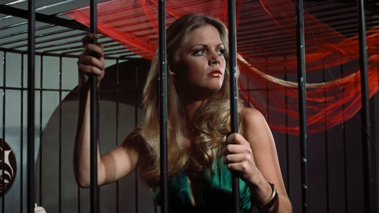The 1973 Film Pets Might be The Most Confusing Movie Ever