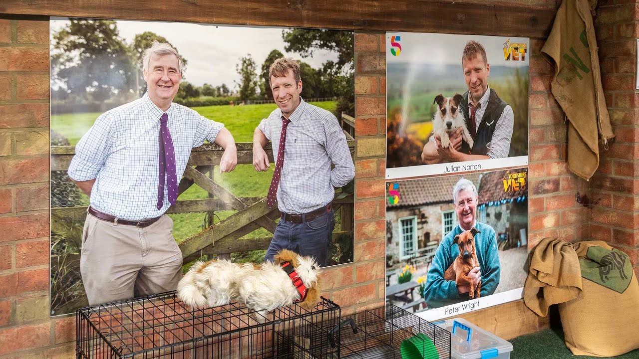 The World of the Yorkshire Vets