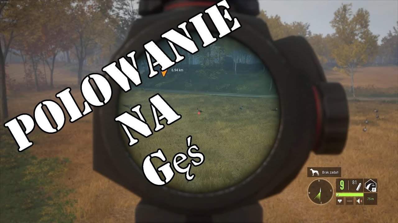 The Hunter Polowanie na Gęsi