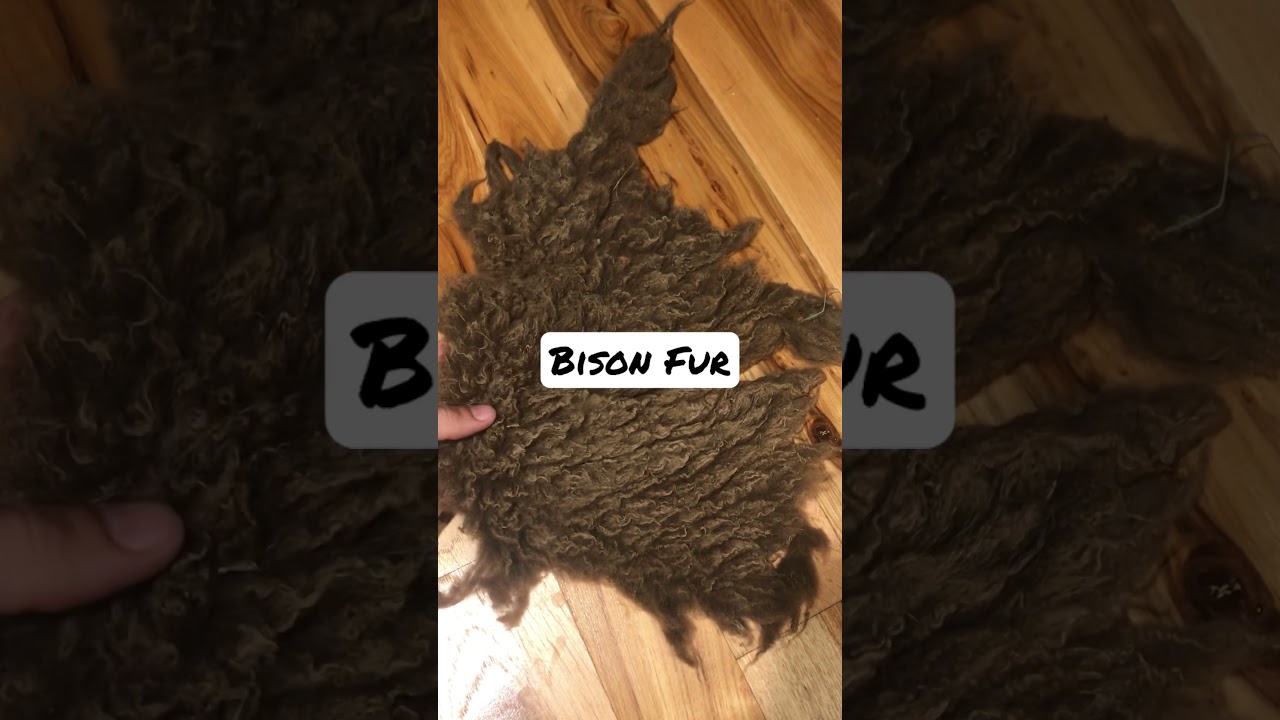 Bison Fur 