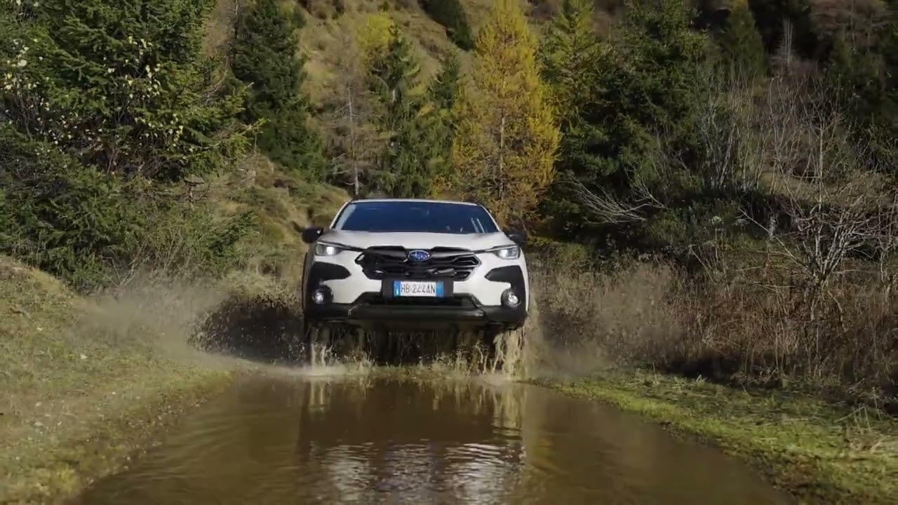 CROSSTREK 4WILD
