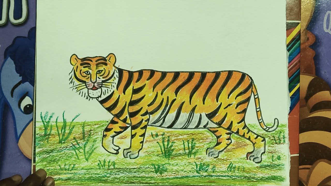 How to Draw a Beautiful Tiger | Simple Art Tutorial