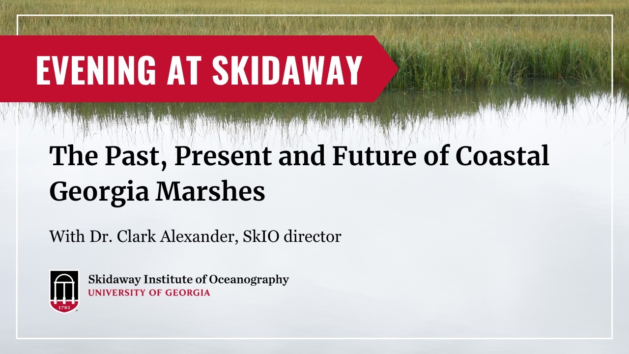 The Past, Present and Future of Coastal Georgia Marshes
