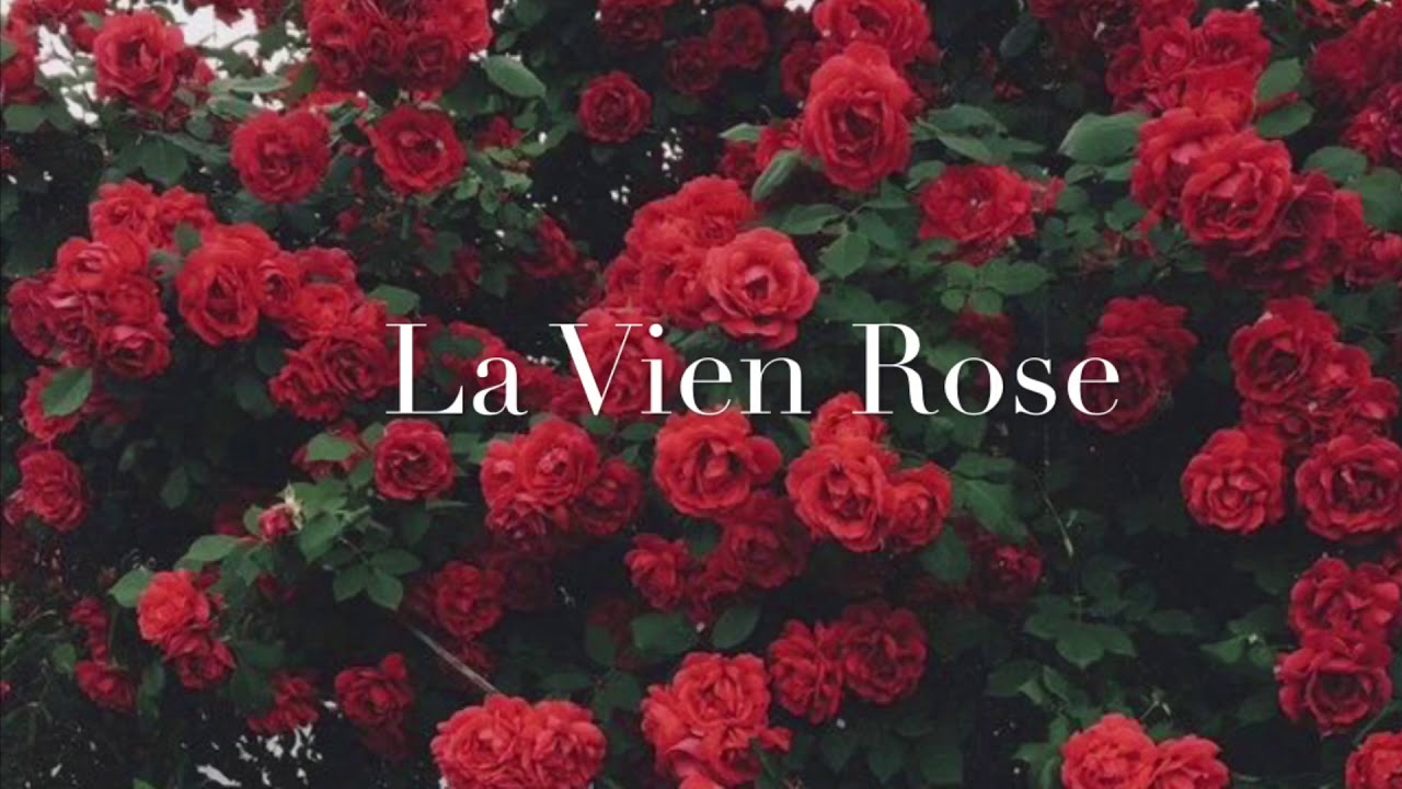 [NIGHTCORE]IZONE -La Vie En Rose