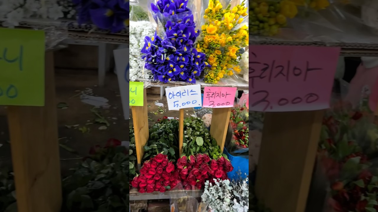 Cheap Flower Market in Korea🌺