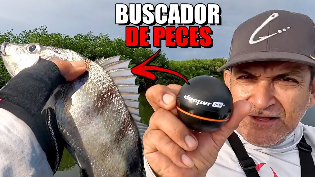 PONGAMOSLO a PRUEBA PEQUEÑO BUSCADOR de PECES