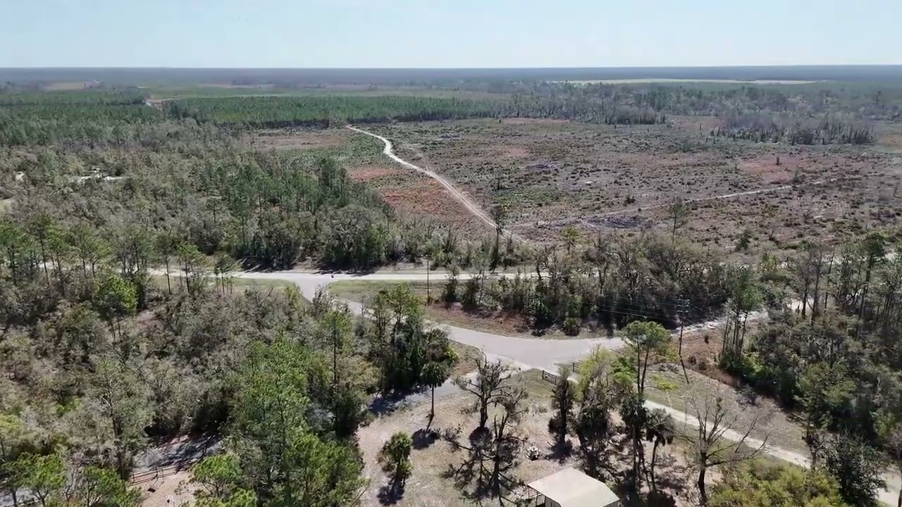 Hampton Springs Hotel video