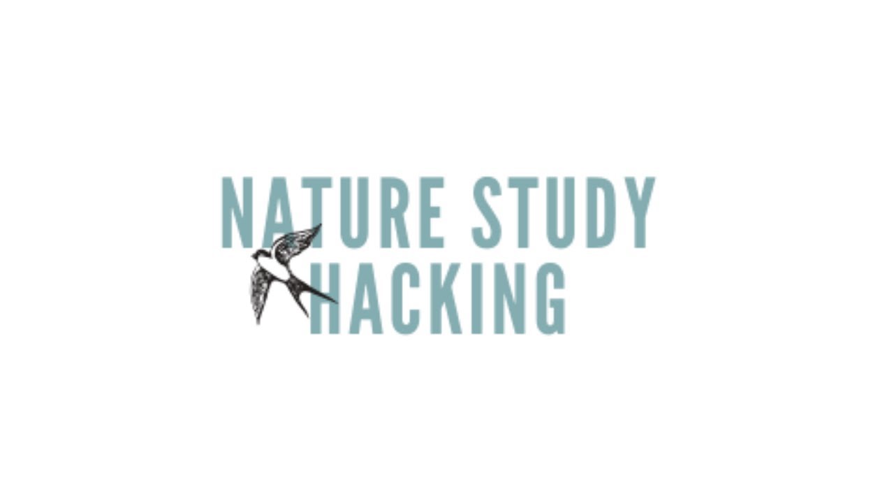 NATURE STUDY HACKING | КАК Я ПРИШЛА К СОЗДАНИЮ ЭТИХ КНИГ ДЛЯ НАШЕГО ДОМАШНЕГО ОБУЧЕНИЯ ПО МЕТОДУ ...