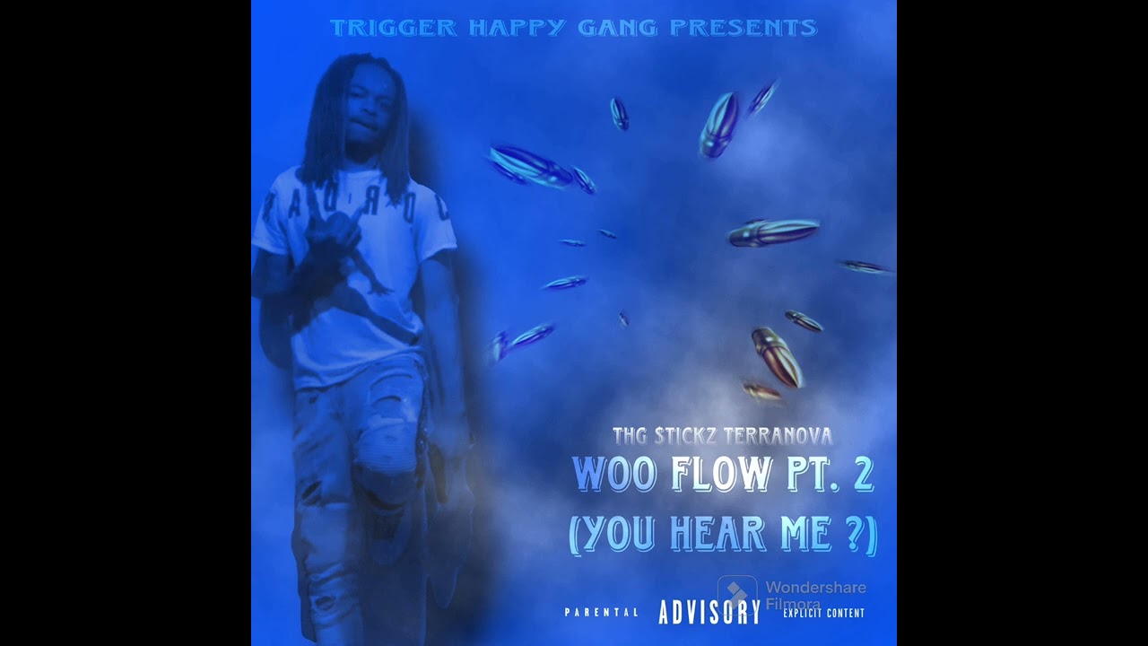 You Hear Me ? (Woo Flow Pt. 2)
