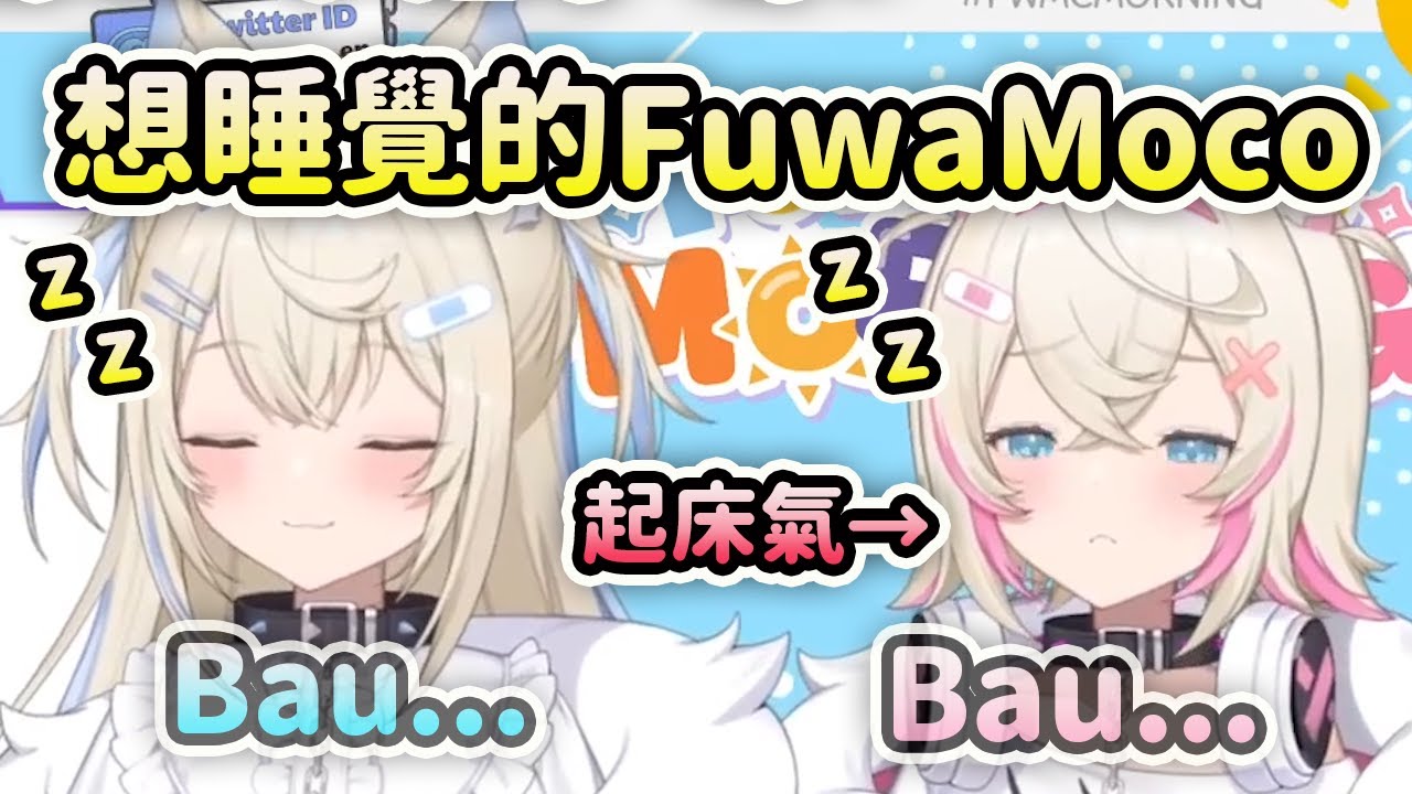 是FuwaMoco早晨但是卻有兩隻想睡覺的狗狗? 一直打哈欠太可愛了！【FuwaMoco】【Hololive 中文】