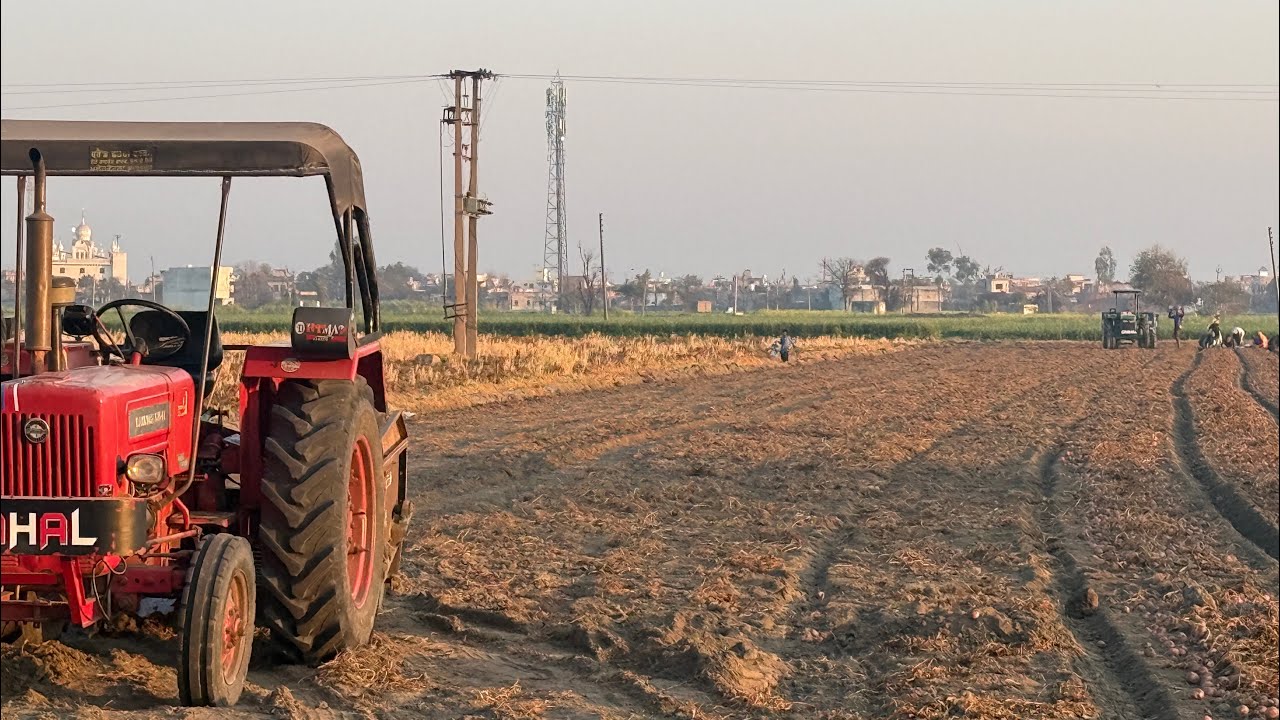 ਅੱਜ ਆਲੂ ਪਤਨ ਦਾ ਦੂਜਾ ਦਿਨ #automobile #jattlifestudio #farming #agriculture #farmer #farm #villagelife