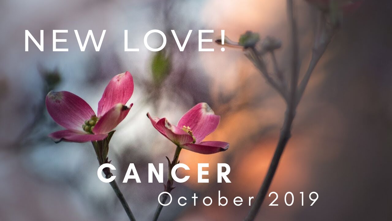CANCER: New Love!  October 2019