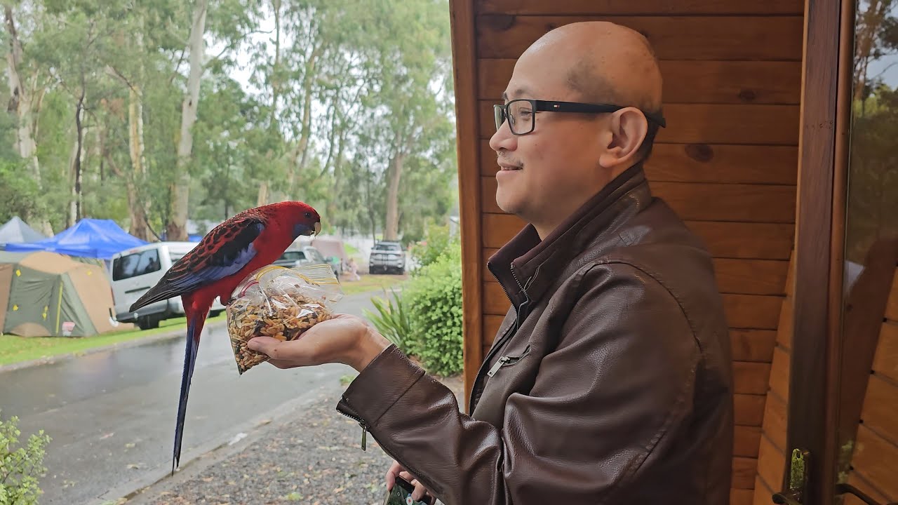 BIG4 Yarra Valley Park Lane Holiday Park, Healesville, VIC