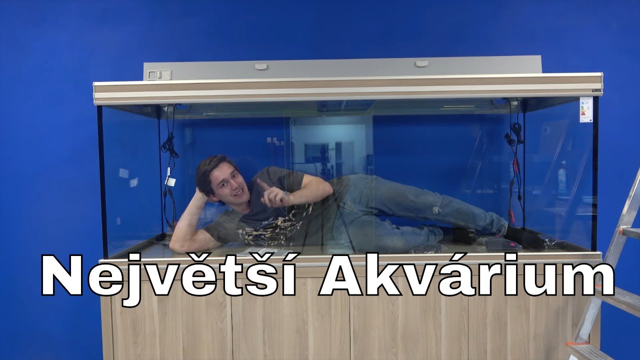 Největší akvárium z naší nabídky