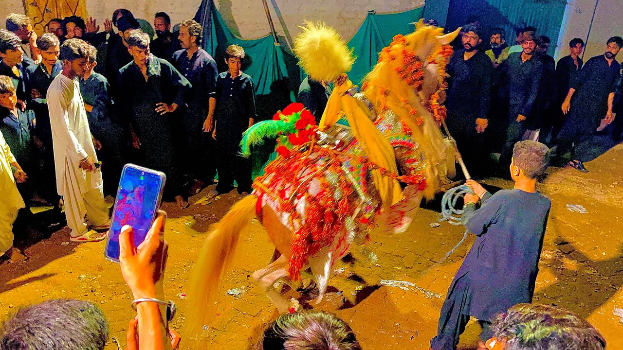 29 Safar 2024|Mir Javed Jo Pir|Procession/جلوس|Tando Mir Noor Muhammad Hyderabad Sindh