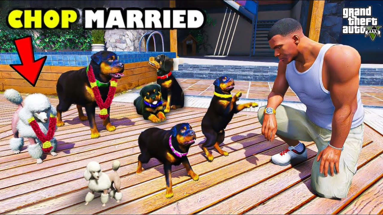 Franklin & Shin chan Found Chop’s Secret marriage and puppies in Gta 5 | Dhanu Dino