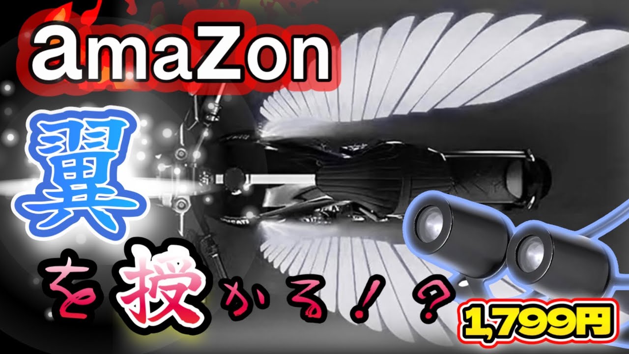 【愛車に翼を授けよう】Amazonで見かけたライトを付けてみました！