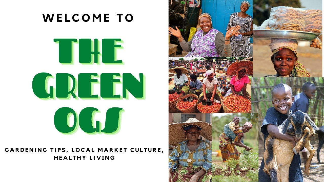Welcome to the Green OGs!!