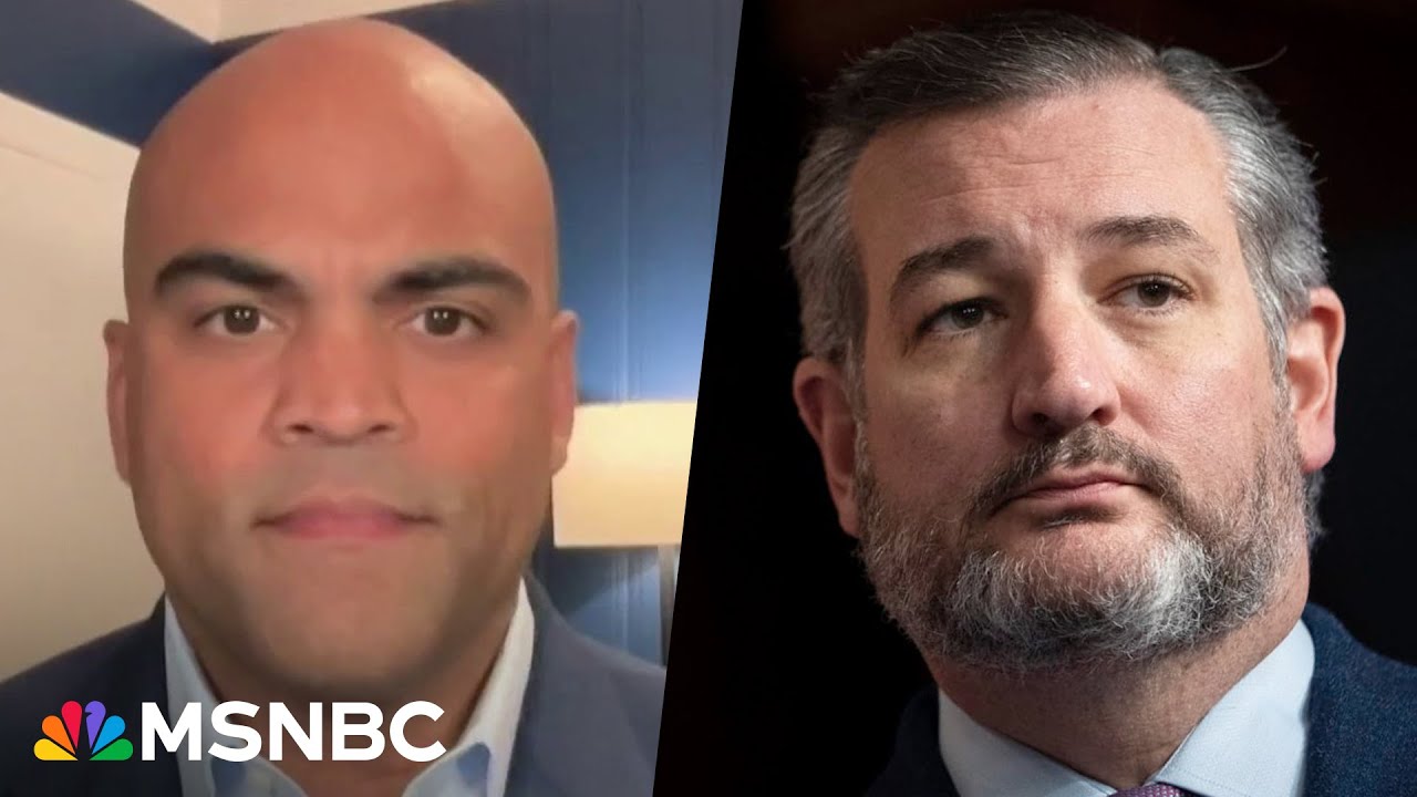 Allred torches Ted Cruz for claiming voters don't care about abortion rights