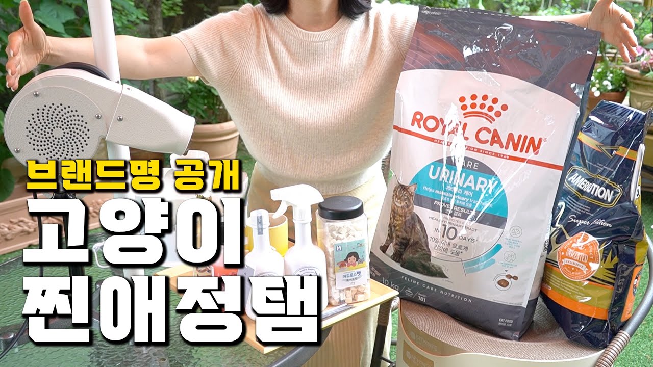 사료부터 캣타워까지! 11마리 고양이 집사의 '찐애정템 Top 10' 최초공개 #고양이용품 #고양이사료 #캣타워 #고양이 #고양이모래